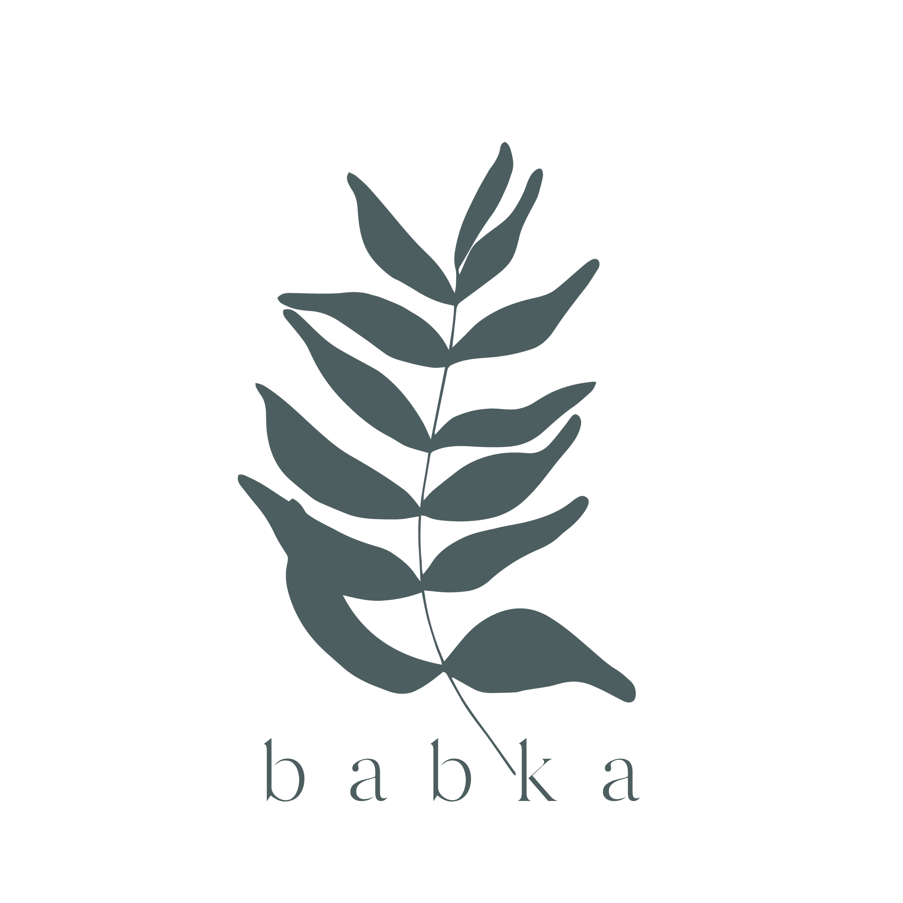 Logo Babka